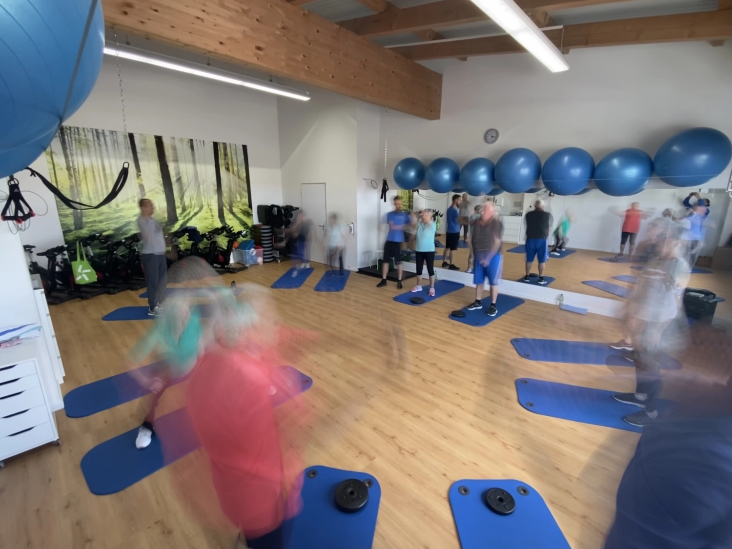 AOK OrthoCard von PHYSIOmedfit